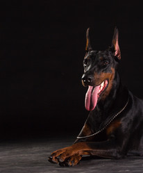 Similar image 2968167