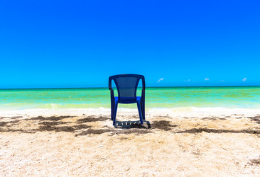 Similar image 2968239