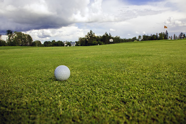 Similar image 2968256