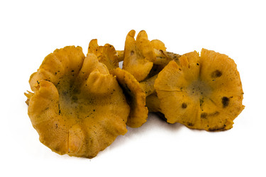 Similar image 2968257