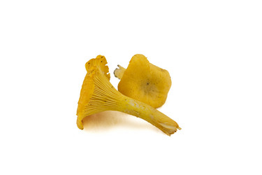 Similar image 2968259