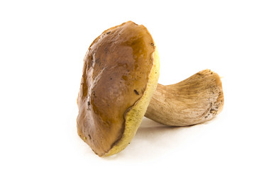 Similar image 2968274