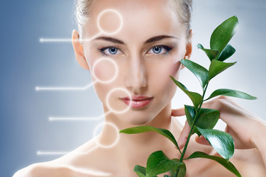 Similar image 2968361