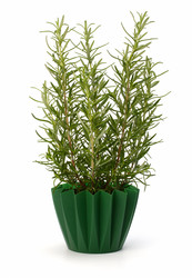 Similar image 2968445