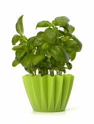 Similar image 2968448