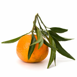 Similar image 2968458