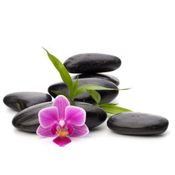 Similar image 2968463