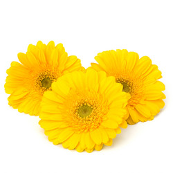 Similar image 2968466