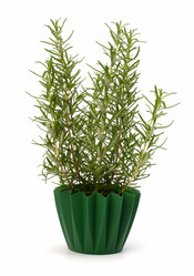 Similar image 2968524