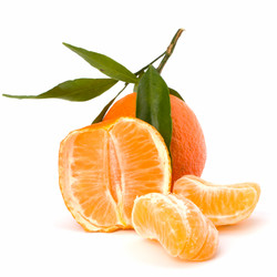 Similar image 2968545