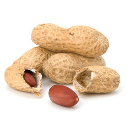 Similar image 2968554