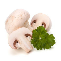 Similar image 2968567