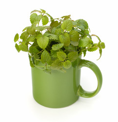 Similar image 2968626