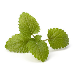 Similar image 2968630