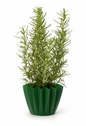 Similar image 2968650