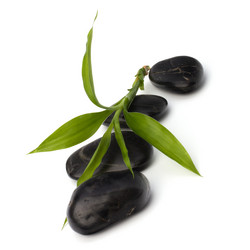 Similar image 2968658