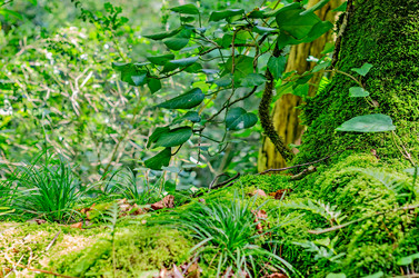 Similar image 2968748