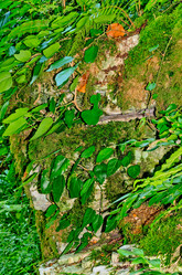 Similar image 2968751