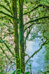 Similar image 2968753