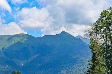 Similar image 2968758