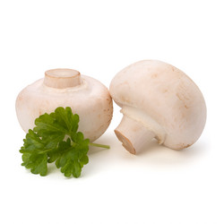 Similar image 2968775