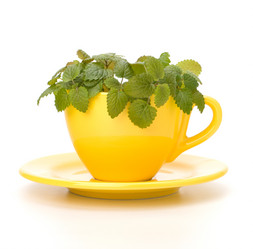 Similar image 2968784