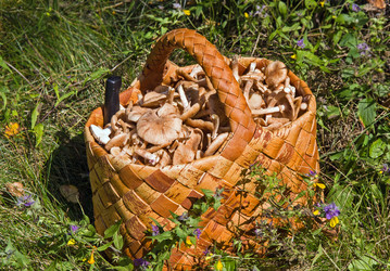 Similar image 2968801