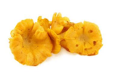 Similar image 2968803