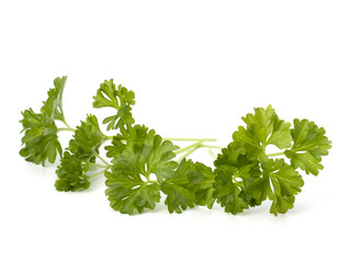 Similar image 2968812