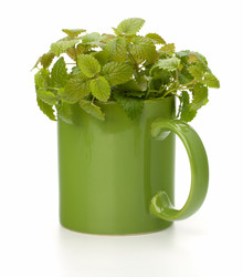 Similar image 2968821