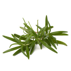 Similar image 2968854