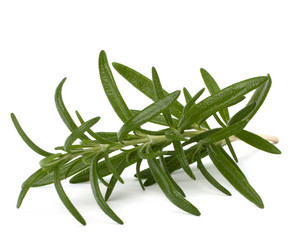 Similar image 2968866