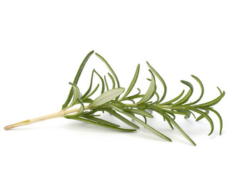 Similar image 2968871