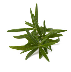 Similar image 2968910