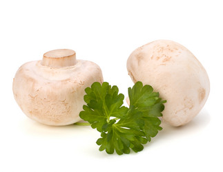 Similar image 2968912