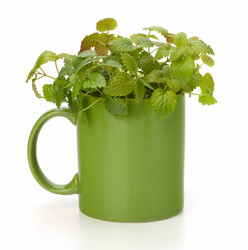 Similar image 2968925