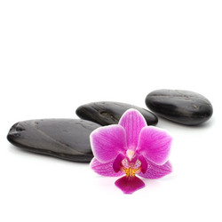 Similar image 2969001