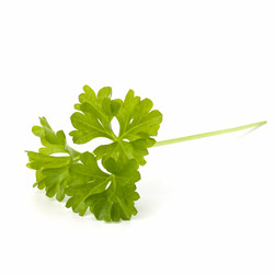 Similar image 2969007