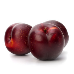 Similar image 2969018