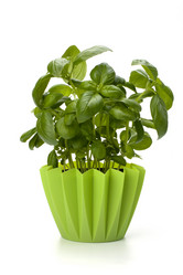 Similar image 2969045