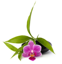 Similar image 2969056