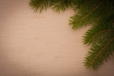 Similar image 2969070