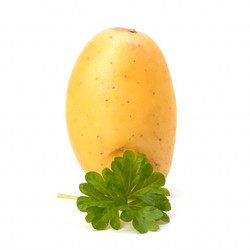 Similar image 2969079