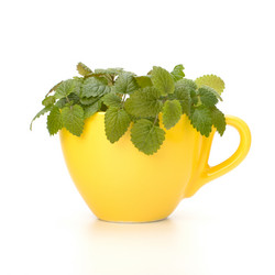 Similar image 2969114