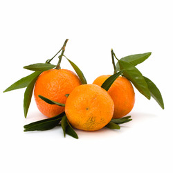 Similar image 2969139