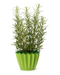 Similar image 2969146