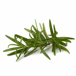 Similar image 2969153