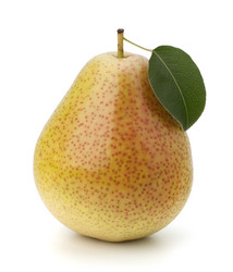 Similar image 2969157