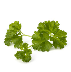 Similar image 2969169