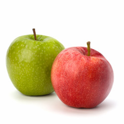 Similar image 2969203